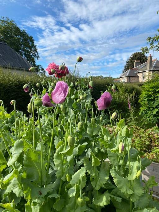 Glenburn House, Fochabers 포카버스 외부 사진